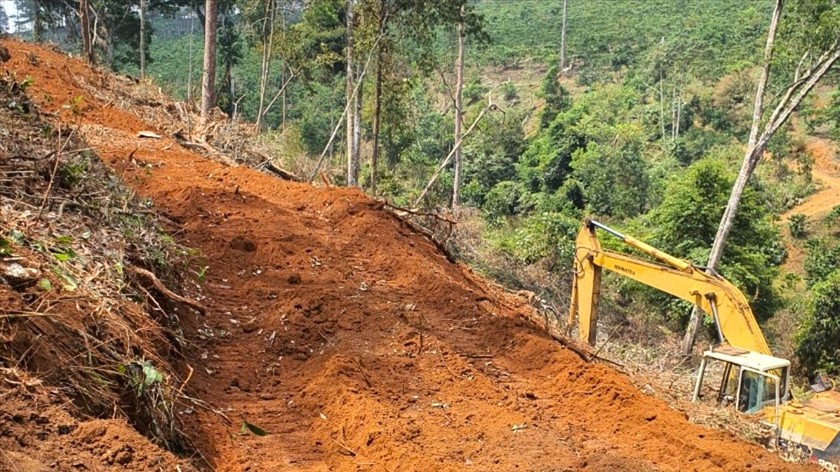 Hiện trường một vụ san ủi đất rừng trái phép ở Bảo Lâm.