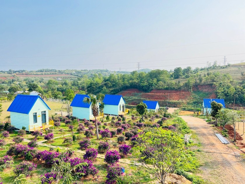 Với thời tiết như “tiểu Đà Lạt”, Hướng Hoá đang chú trọng phát triển du lịch (Homstay Bảo Nguyên Xanh ở xã Hướng Tân)