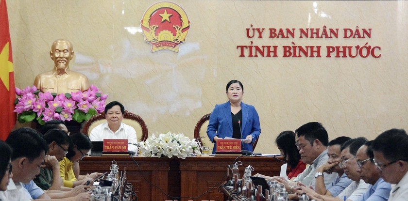 Chủ tịch UBND tỉnh Bình Phước Trần Tuệ Hiền phát biểu kết luận hội nghị ảnh 1