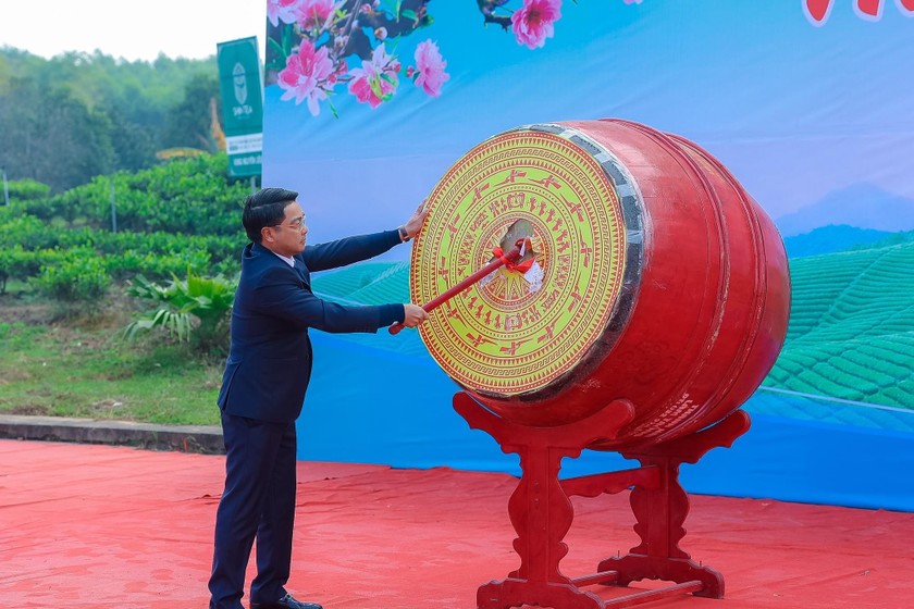 Thái Nguyên: Lễ hội “Hương sắc trà Xuân - vùng chè đặc sản Tân Cương” ảnh 1