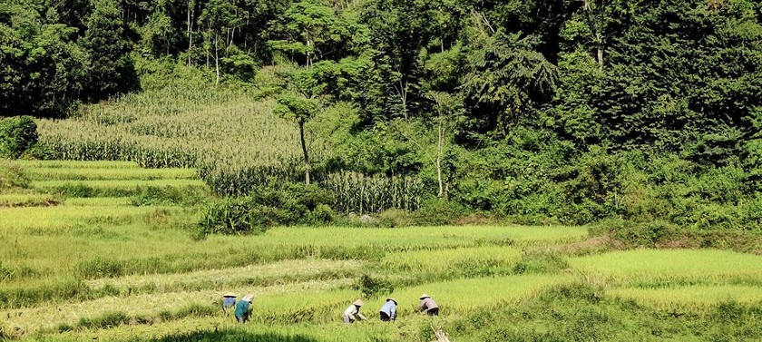 Yên Sơn (Tuyên Quang) nhiều khởi sắc trong phát triển kinh tế - xã hội ảnh 1