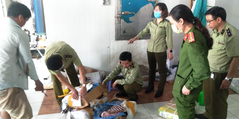 Lực lượng QLTT Đồng Tháp kiểm tra hàng hóa vi phạm tại kho đông lạnh cơ sở Hải Đăng Quang