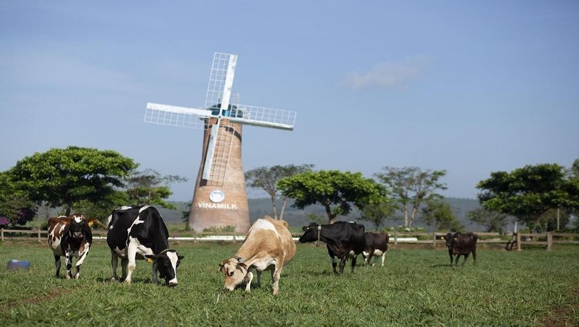 Trang trại Vinamilk Organic Đà Lạt đạt chuẩn hữu cơ châu Âu đầu tiên tại Việt Nam.