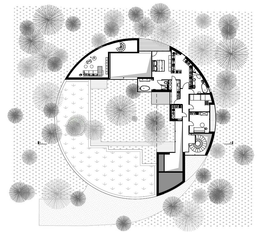 Thiết kế nhà tròn lấy cảm hứng từ thân cây ảnh 9