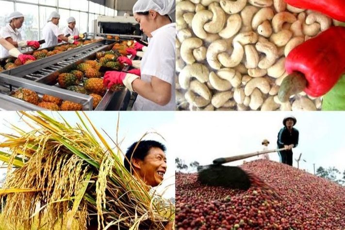 Việt Nam đang đứng top đầu thế giới về XK nhiều mặt hàng nông sản. (Nguồn ảnh: internet).