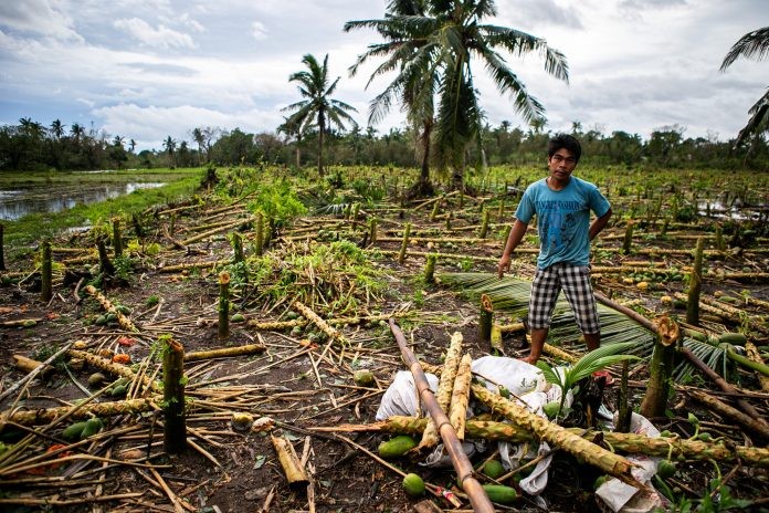 Trang trại của một nông dân tại tỉnh Camarines, Philippines bị tàn phá bởi cơn bão Ulysses vào tháng 11/2021. (Nguồn: Mark Saludes/Oxfam Phillipines) ảnh 1