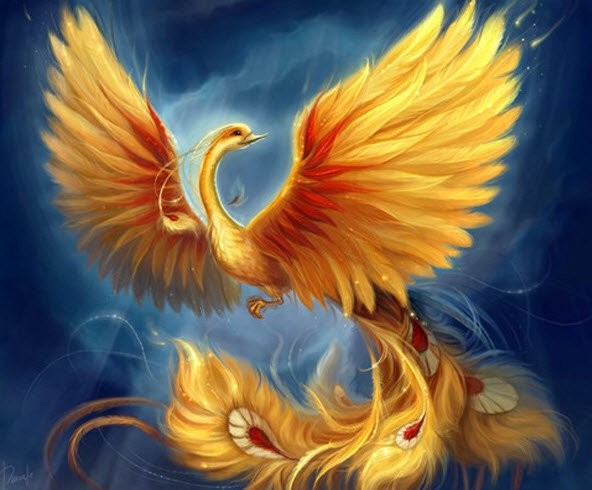 99 Hình Ảnh Phượng Hoàng Lửa Đẹp Rực Rỡ Nhìn Mê Tơi