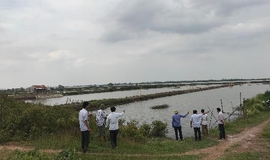 Nhiều hộ gia đình ở xã Cồn Thoi đầu tư tiền của, công sức vào đầm nuôi trồng hải sản ở bãi bồi ven biển đê Bình Minh III huyện Kim Sơn chưa được bồi thường đã giao đất cho doanh nghiệp