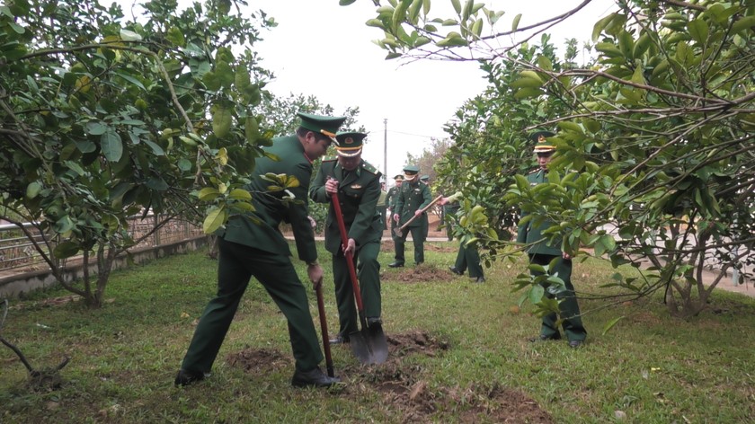 Cả nước tích cực 'ra quân' hưởng ứng Tết trồng cây ảnh 12