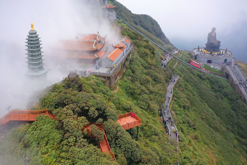 Khánh thành con đường dạo ngắm hoa đỗ quyên đầu tiên ở Việt Nam ảnh 2