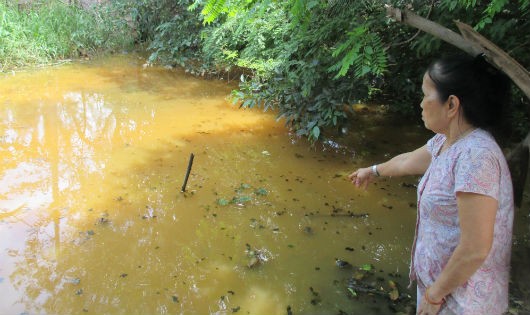 Một ao nước bị ô nhiễm nặng do ảnh hưởng từ bãi rác Đa Phước 