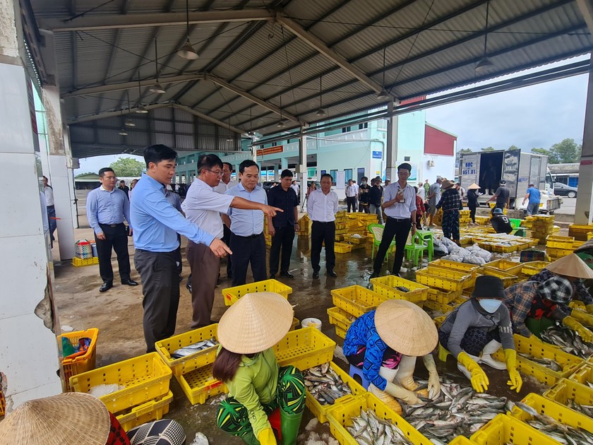 Phó Thủ tướng Trần Lưu Quang và đoàn công tác tại Cảng cá Tắc Cậu