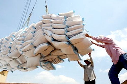 việc đấu thầu 250 ngàn tấn gạo của Philippines được cho là sẽ có tác động lớn đến thị trường gạo