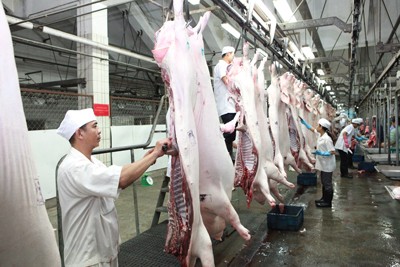 Nhà máy giết mổ lợn tập trung của Tập đoàn Dabaco được kỳ vọng là mô hình Nhà máy giết mổ điểm của cả nước (Ảnh minh họa)