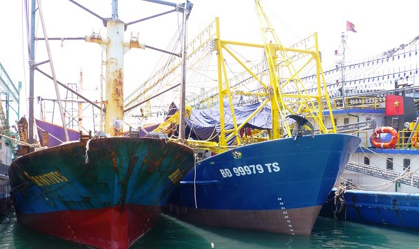 Bộ NN&PTNT đề nghị Thủ tướng giao Bộ Công an điều tra, xử lý, truy cứu trách nhiệm hình sự đối với các cơ sở đóng tàu có hành vi gian lận trong thực hiện hợp đồng mới tàu cá. Ảnh minh họa. 