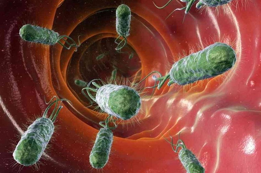 Vi khuẩn Hp làm tăng nguy cơ ung thư dạ dày