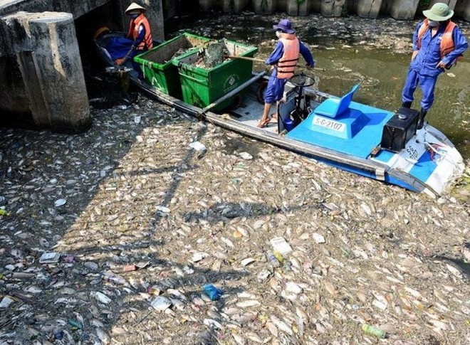 Cá chết trắng trên kênh Nhiêu Lộc - Thị Nghè vào năm 2016 	