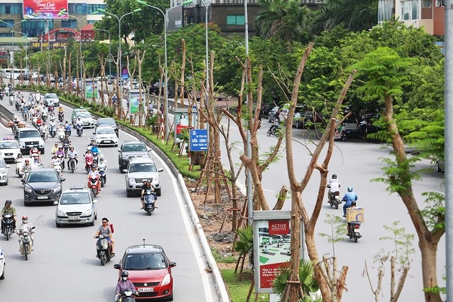 Hà Nội đặt mục tiêu đạt tỉ lệ 8m2 cây xanh/người vào năm 2030