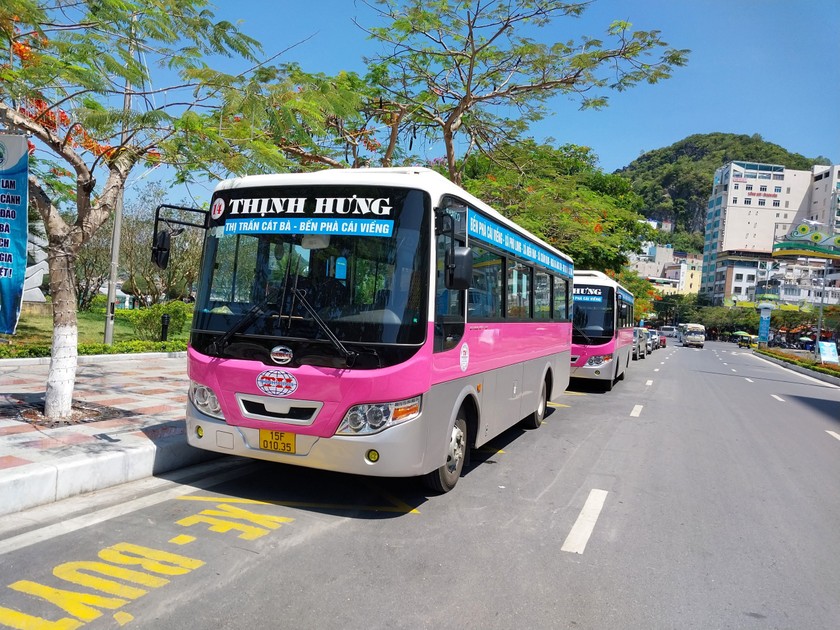 TP Hải Phòng hỗ trợ người dân sử dụng xe buýt nhằm hạn chế tối đa ùn tắc giao thông, giảm ô nhiễm môi trường.