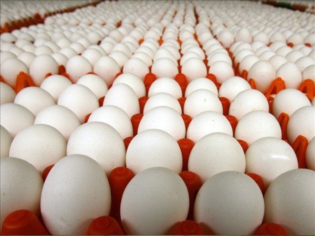 Sự thực về trứng gà có chứa Omega - 3