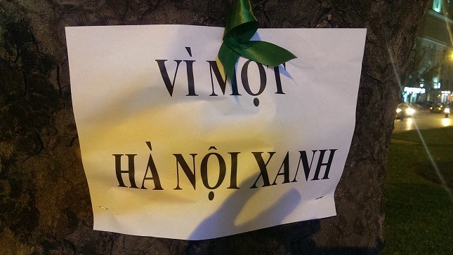 Người trẻ dán thông điệp lên hàng trăm cây xà cừ cổ trên đường Giảng Võ
