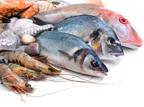 Hải sản là loại thực phẩm chứa chất cấm, kháng sinh cao nhất 