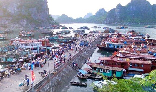 Quảng Ninh: Nhiều doanh nghiệp có dấu hiệu gian lận vé tàu cao tốc trên biển