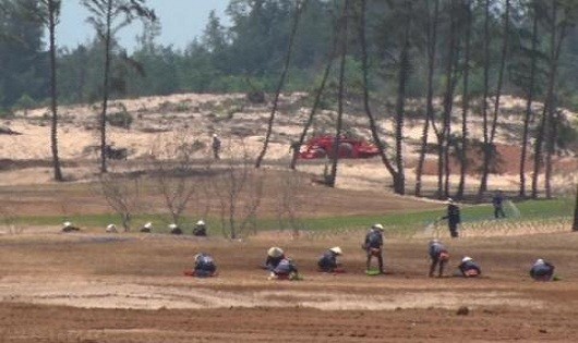 UBND tỉnh Phú Yên khẳng định không phá rừng để thi hoa hậu!