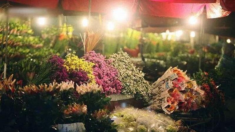 Những chợ hoa đẹp nhất Hà Nội dịp Tết