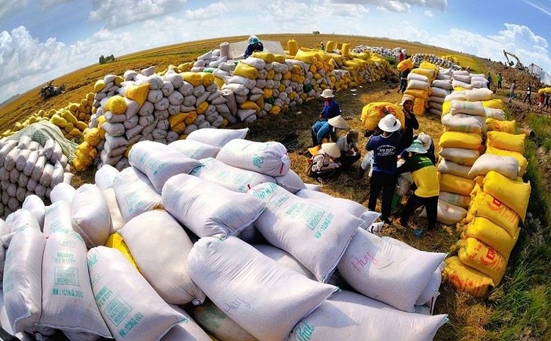 Giá các mặt hàng thiết yếu ngày 28/12: Giá lúa gạo không có biến động