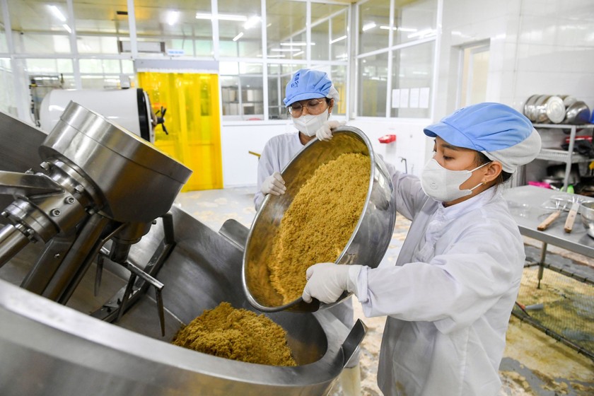 Công nhân đang chế biến ruốc hàu tại nhà máy Công ty TNHH sản xuất và thương mại Thuỷ sản Quảng Ninh. Ảnh: công ty cung cấp