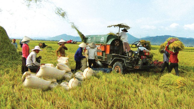 Chính phủ yêu cầu Bộ Nông nghiệp và Phát triển nông thôn, Bộ Tài nguyên và Môi trường hướng dẫn cho phép sử dụng linh hoạt đất lúa