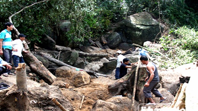 Người dân đào bới tìm trầm kỳ tại khu rừng xã Sơn Trung, huyện Khánh Sơn  