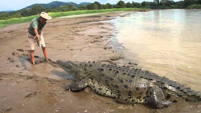 Dưới lòng hồ Suối Hiền, hơn 20 năm trước du kích xã đã hạ gục 2 con cá sấu lớn 