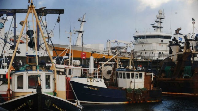 Luật không cho phép nhập khẩu những tàu cá quá 8 “tuổi”