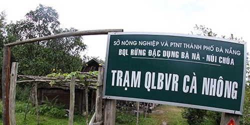 Trạm Cà Nhông, nơi trạm trưởng kiểm lâm tiếp tay phá rừng