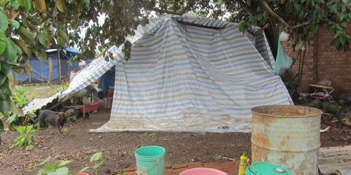 Túp lều nơi ba mẹ con chị Nguyệt sinh sống   