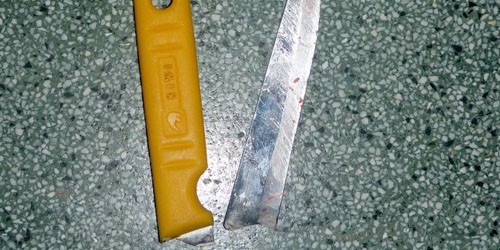 Con dao được cơ quan chức năng thu giữ tại hiện trường - Ảnh: Tiến Thịnh