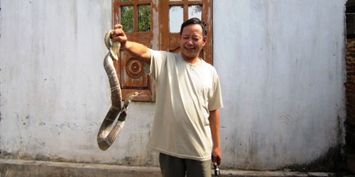 Rắn có rất nhiều chủng loại nhưng chỉ một số loài được nuôi và khai thác cho giá trị kinh tế. Ở Việt Nam, hiệu quả nổi bật từ mô hình nuôi rắn đã góp phần tăng nguồn thu nhập cho gia đình, thúc đẩy nền kinh tế địa phương phát triển. Đây hiện là một trong 