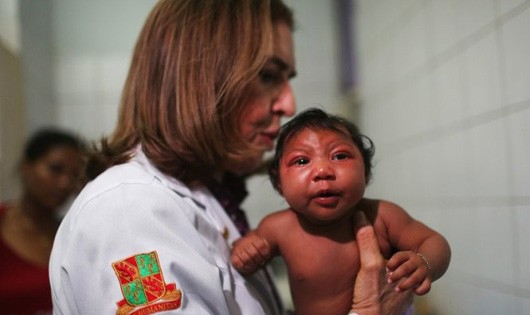 Một nhóm bác sĩ Argentina cho rằng dịch teo não bất thường ở trẻ sơ sinh tại Brazil không phải do virút Zika mà do một loại hóa chất diệt ấu trùng muỗi có trong nguồn nước sinh hoạt - Ảnh: Techtimes