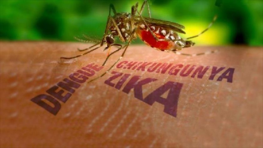 Chủ động phòng, chống dịch bệnh do vi rút Zika
