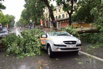 Hà Nội: Gió giật đổ cây, tung người trên phố