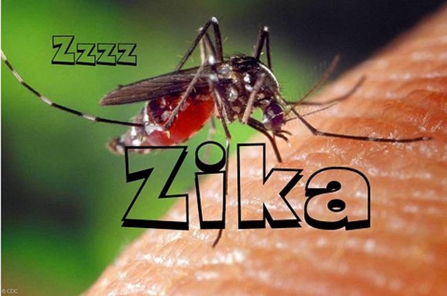 Thêm 6 người nhiễm virus Zika ở TP HCM 