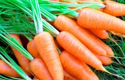 Những công dụng “không tưởng” của cà rốt
