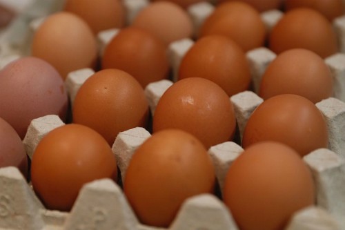 Trải nghiệm ăn kiêng hoàng gia: 9 quả trứng một ngày