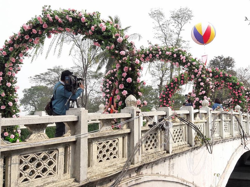 Sở Văn hóa yêu cầu bỏ hoa giả tại Lễ hội hoa hồng