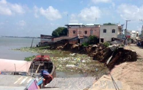An Giang: Sạt lở nghiêm trọng, 14 căn nhà đổ sập xuống sông Hậu