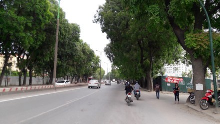 Dịch chuyển, chặt hạ 1.300 cây xanh trên đường Phạm Văn Đồng: Mới chỉ là đề xuất