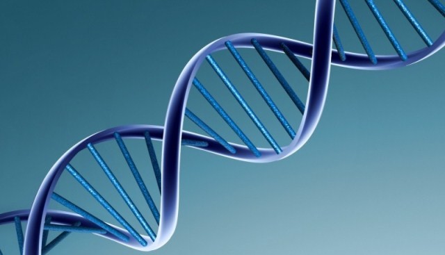 Quy định về lấy mẫu giám định ADN xác nhận danh tính liệt sĩ
