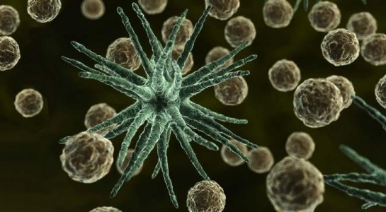 Chlamydia, bệnh lây truyền qua đường tình dục phổ biến nhất trên thế giới là do vi khuẩn Chlamydia trachomatis